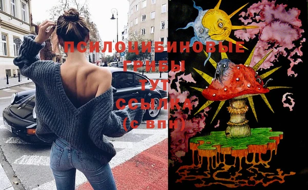 герыч Елизово