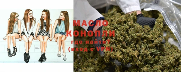 скорость Ельня
