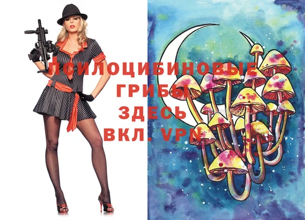 скорость Ельня