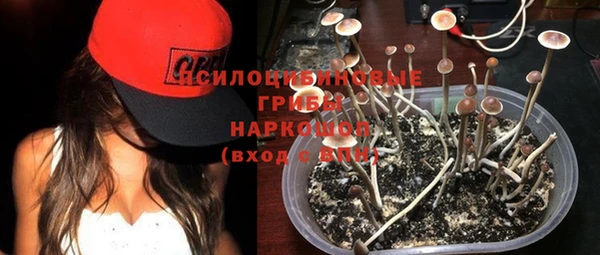 герыч Елизово