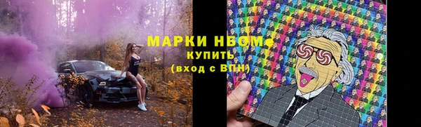 скорость Ельня