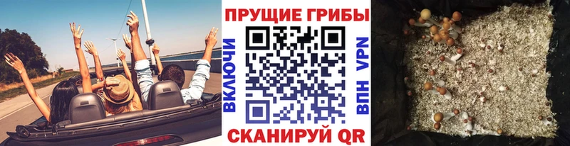 Псилоцибиновые грибы Psilocybine cubensis  Купить где  Шумерля 